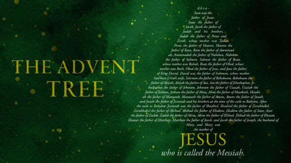 The Advent Tree - Sermon 4 Image