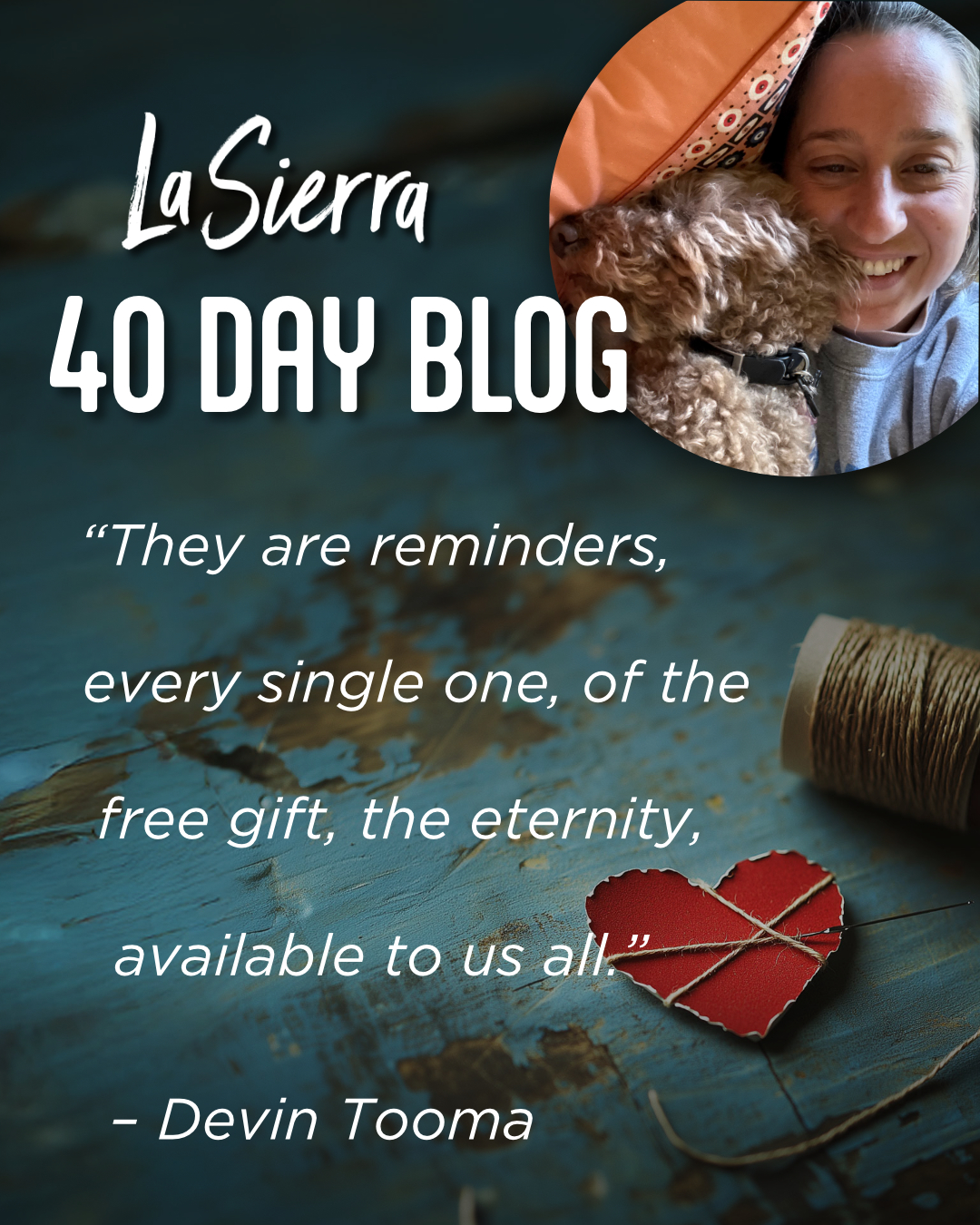 Day 15 – Ask the Birds